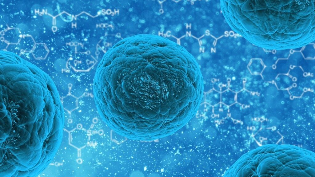 Candida Albican - Systemic Yeast Overgrowth