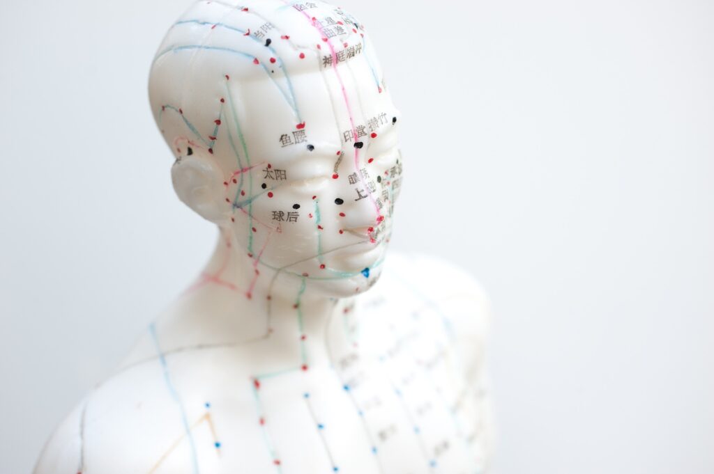 Alternative Acupuncture - chinese acupuncture meridians