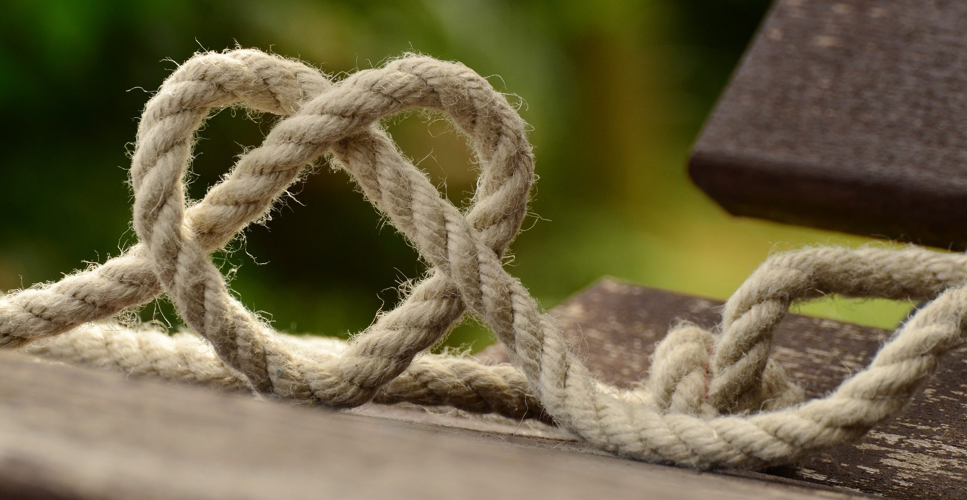 energy cords - energetic cords