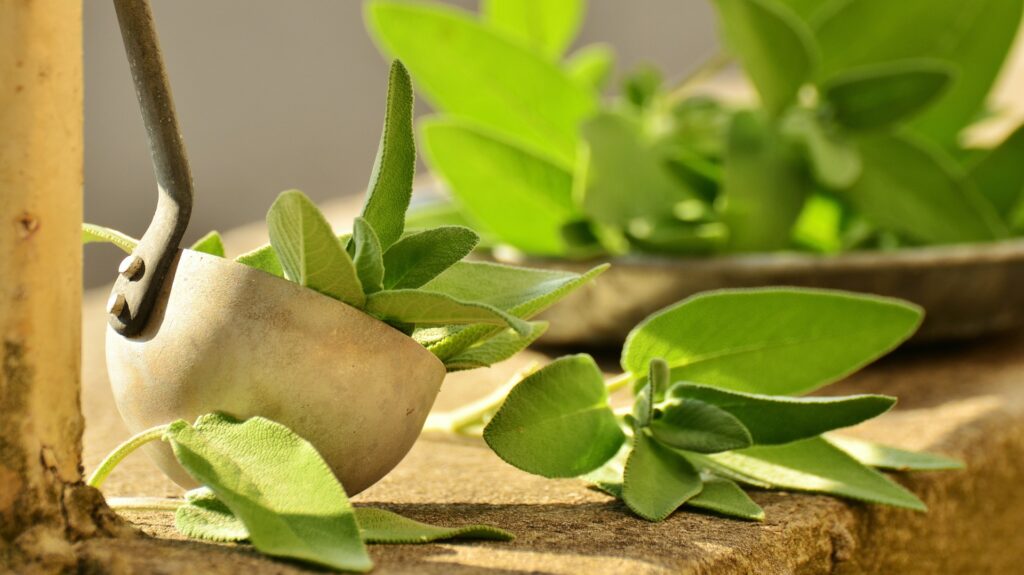 herbal medicine