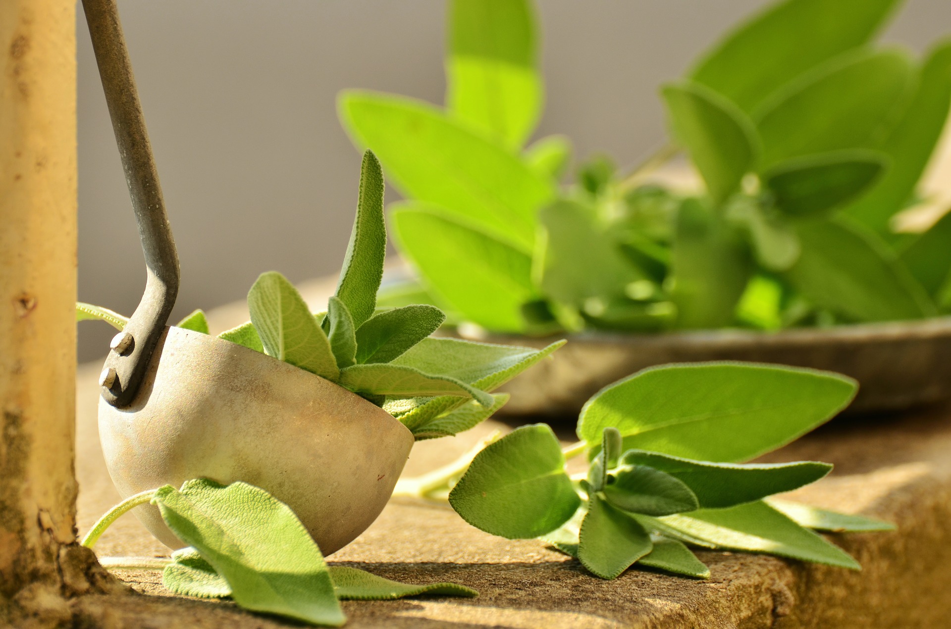 herbal medicine